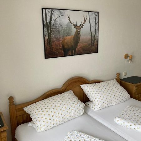 Ferienwohnung Sophia ไกรน์เนา ภายนอก รูปภาพ